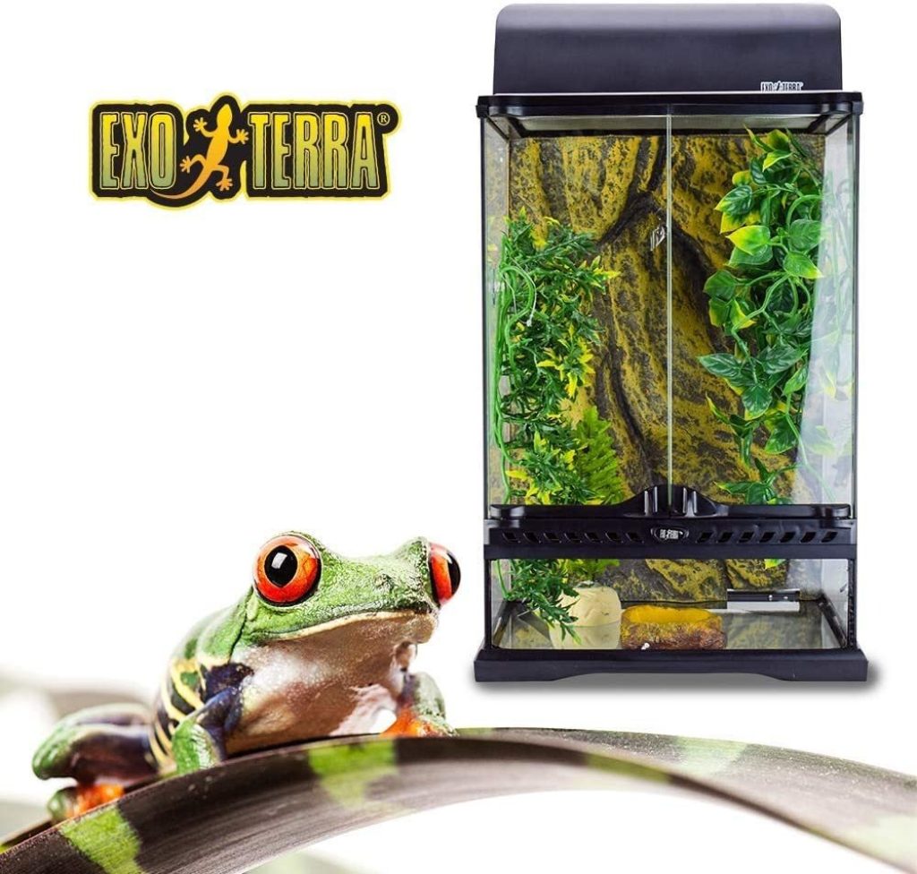 Exo Terra Rainforest Habitat Kit Incluye Pt Peque O