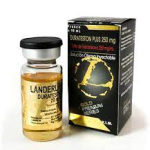 Imagen de Durateston Plus Gold 250mg de Landerlan para ganancias de masa muscular magra