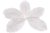 Happy Will 50 Pcs Decoración Avestruz Plumas 15-20cm Blanco