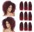 Marlibob Crochet Braids Hair Extensions 6 Packs/lot 8» Burg