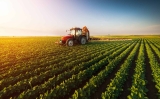 USMCA – Agricultural Markets